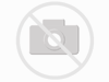 DDM Dominator� V2 Pipe Black